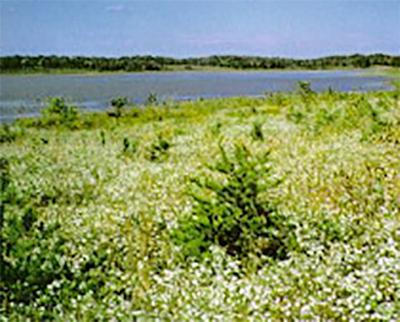 Facilities: Coddle Creek Reservoir/Lake Howell