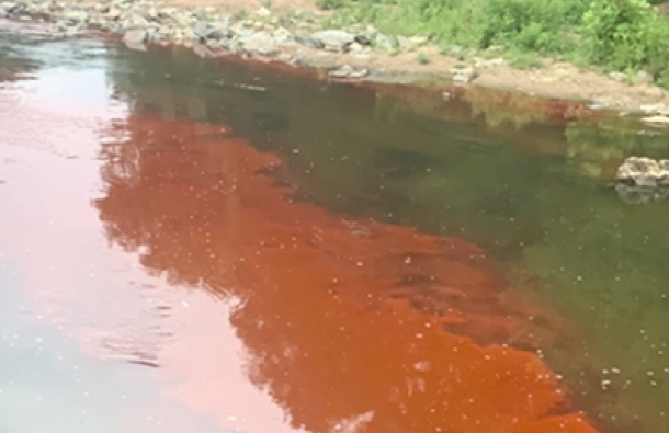 WSACC water quality study of Wolf Meadow Branch and Coddle Creek